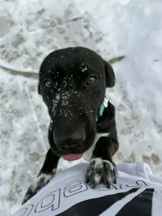 Zeus