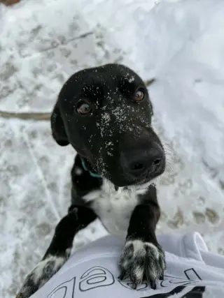 Zeus