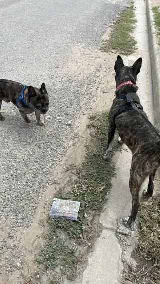 Selma