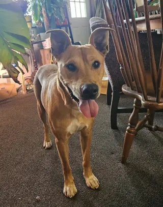 Ruby