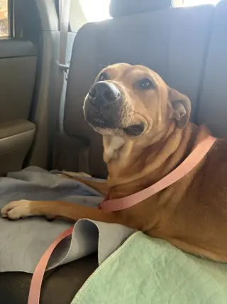 Ruby