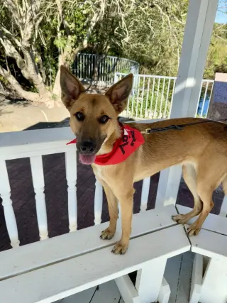 Finley