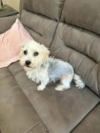 Gus