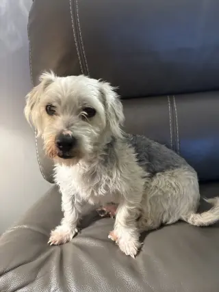 Gus