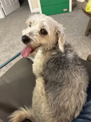 Gus
