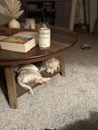 Gus