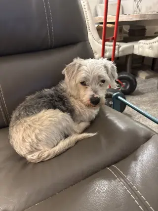 Gus