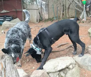 Jax