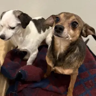 Mable & Oliver