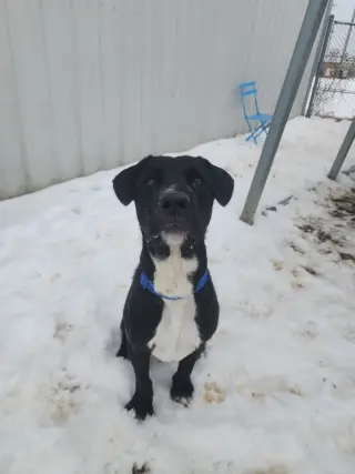 Cosmo