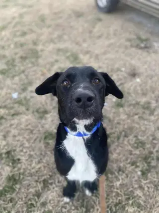 Cosmo