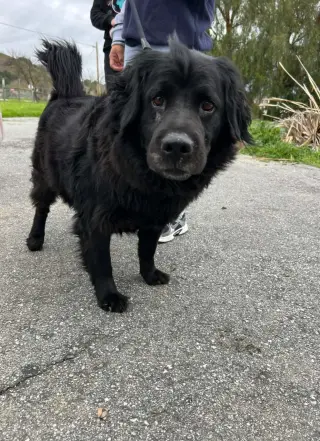 ONYX