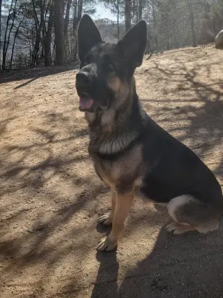Bonnie