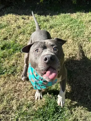 Storm