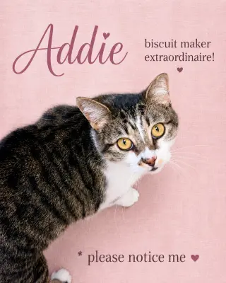 Addie (FCID#12/29/2025 - 421) Willow Grove