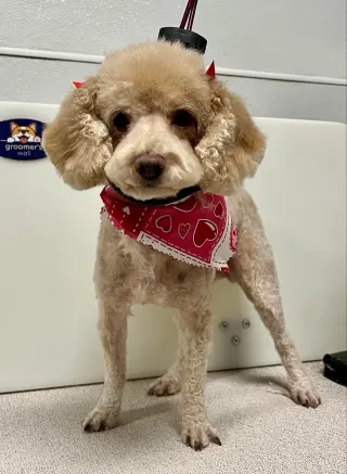 Reba