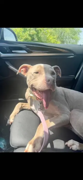Priscilla (GA) a/k/a Prissy