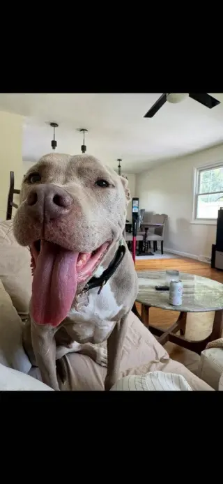 Priscilla (GA) a/k/a Prissy