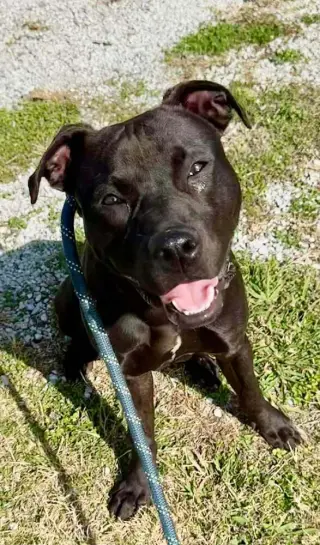 Sid