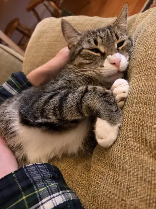 Sammy