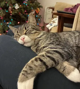 Sammy
