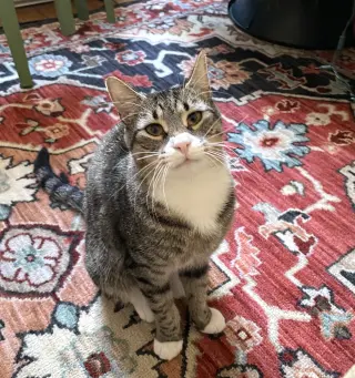 Sammy