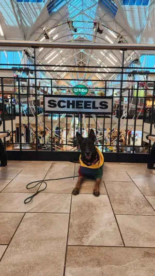 Ramsey- located in NM