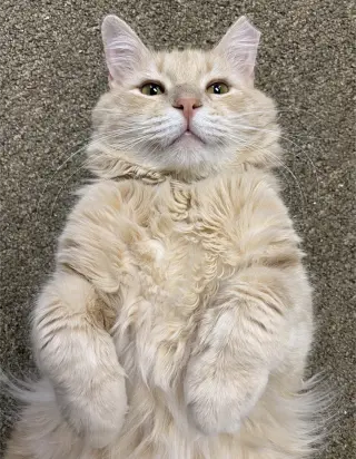 Rudy