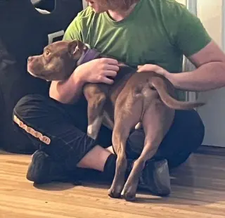 CANELO