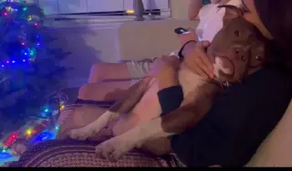 CANELO