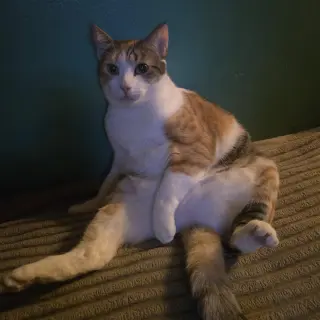 LaLa