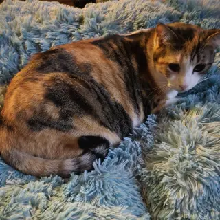 LaLa