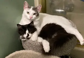 Mallory bonded with Fran