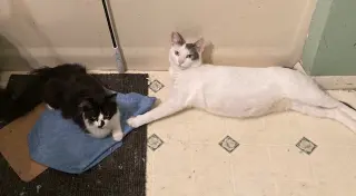 Mallory bonded with Fran