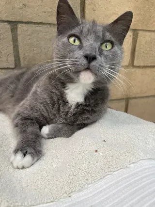 Mariah