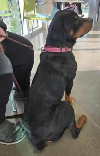 Penny