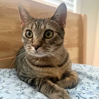 Itsy