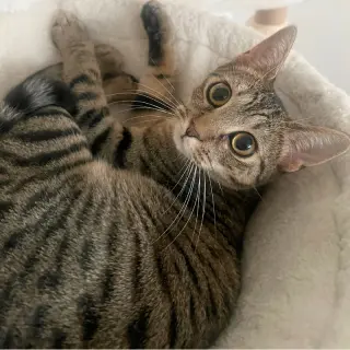 Itsy