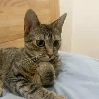Itsy