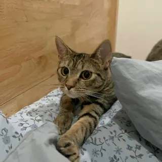 Itsy