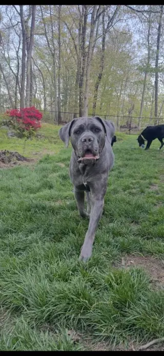 Hendrix (NY)