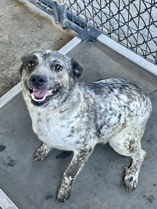 Miss Maxine