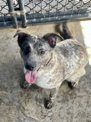 Miss Maxine