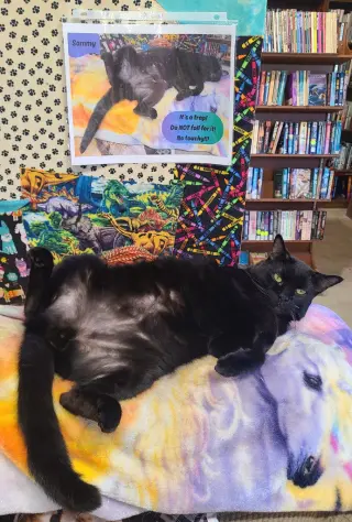 Sammy