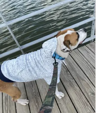 Buddy