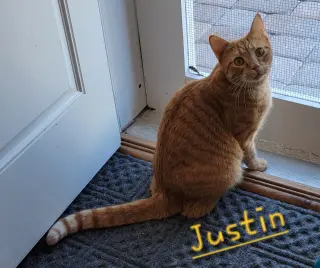 Justin and Stetson