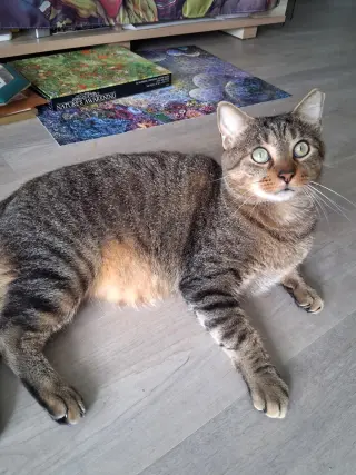 Sammy