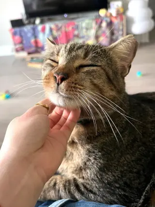 Sammy
