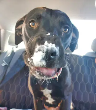 Tula