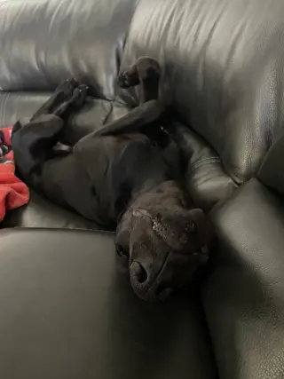Onyx